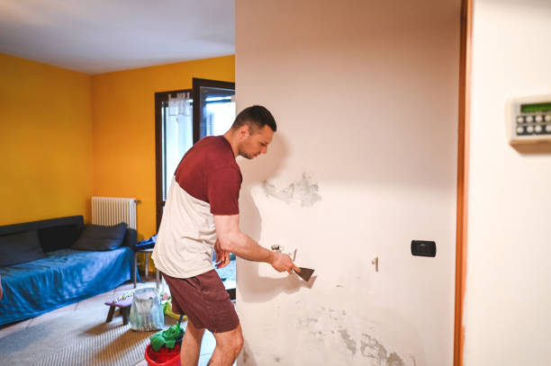 Trusted Eminence, KY Mold Removal Experts